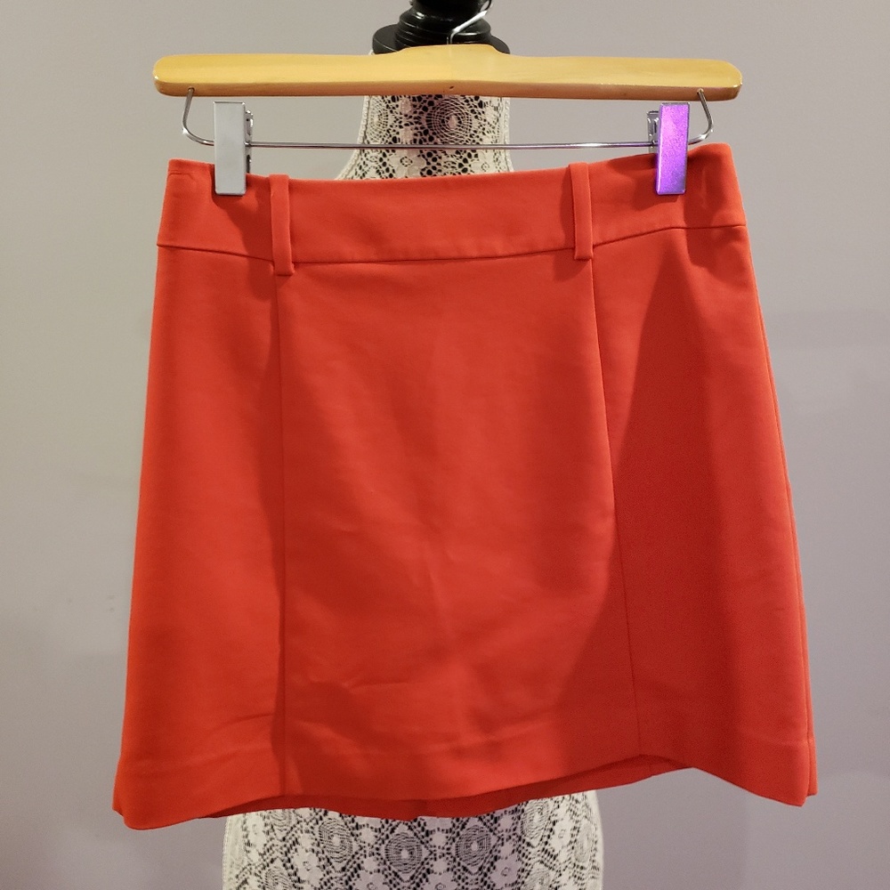 Express Mini Skirt